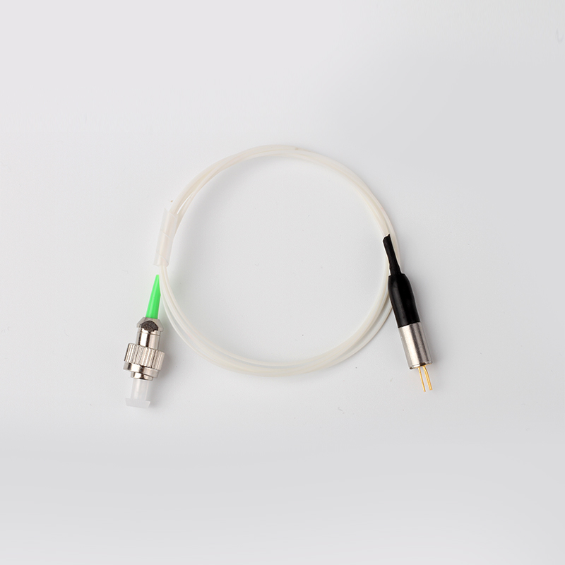 Integrated Fiber Laser