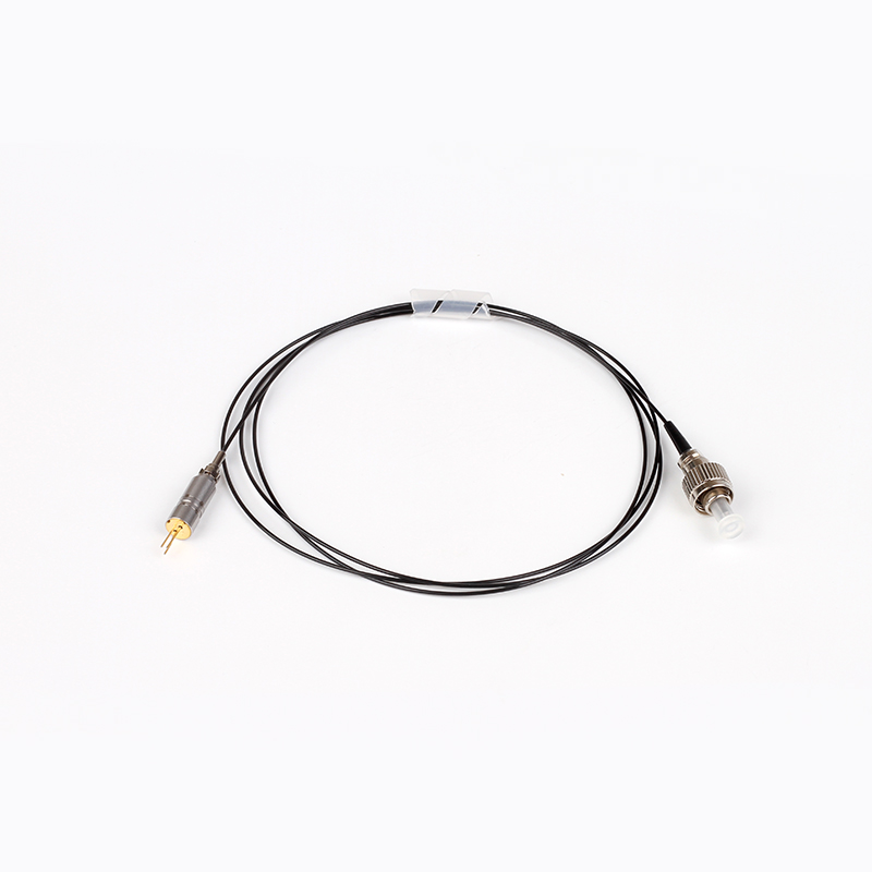 Integrated Fiber Laser